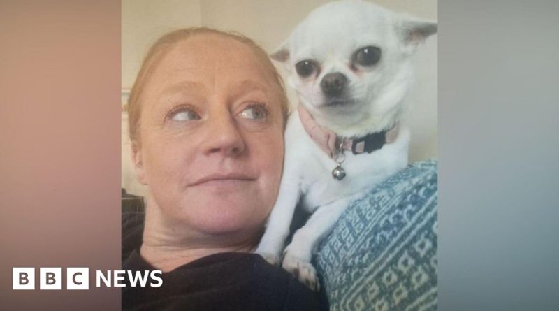 Volunteers at an animal sanctuary working together for animal care.
