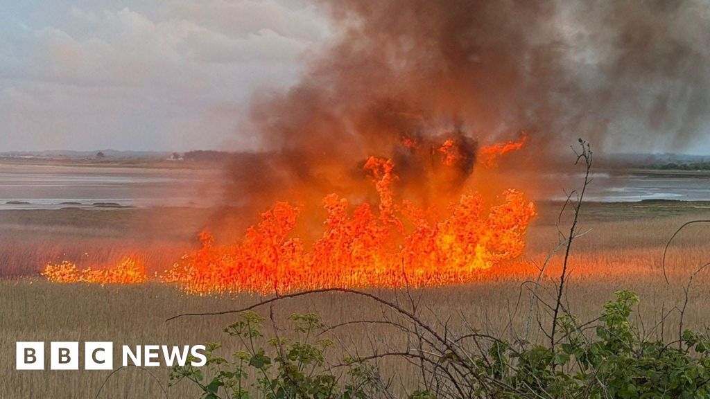 Conservationists discussing the bird nesting site fire impact in a natural setting.