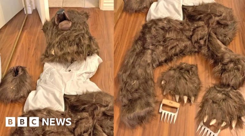 Courtroom scene depicting three individuals involved in a bear costume insurance scam.