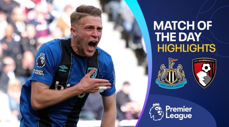 Bournemouth players celebrating their unbeaten run during a match.