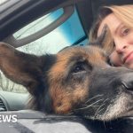 Pet rescuers in Ukraine saving animals during the conflict.