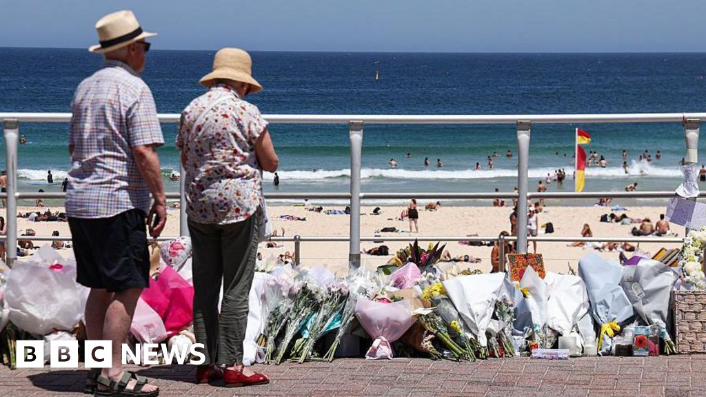Professionals discussing Bondi shooting gun reform and safety measures in a public space.