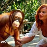 A cashier assisting customers, highlighting concerns about cashier theft and security.