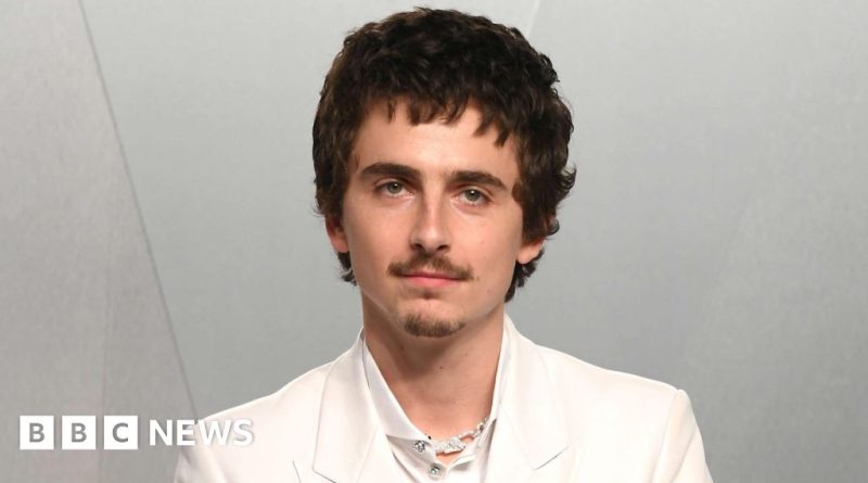 Audience at a ballet performance, highlighting Chalamet's influence on arts.