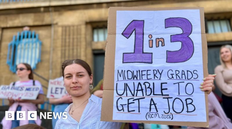 New midwives job struggles in a busy maternity ward with professionals assisting patients.
