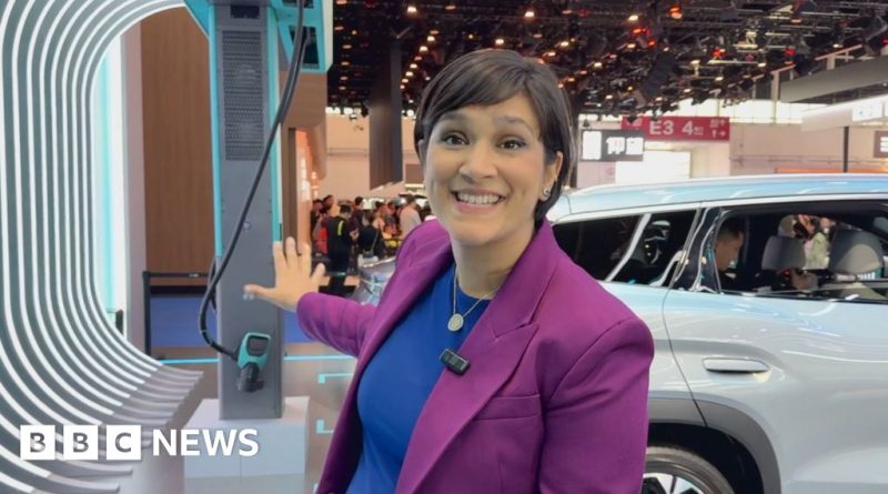 Professionals discussing China electric vehicles in a business setting.