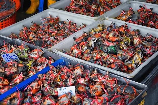 China's Lobster Craze: AI Assistant Fuels New Trend