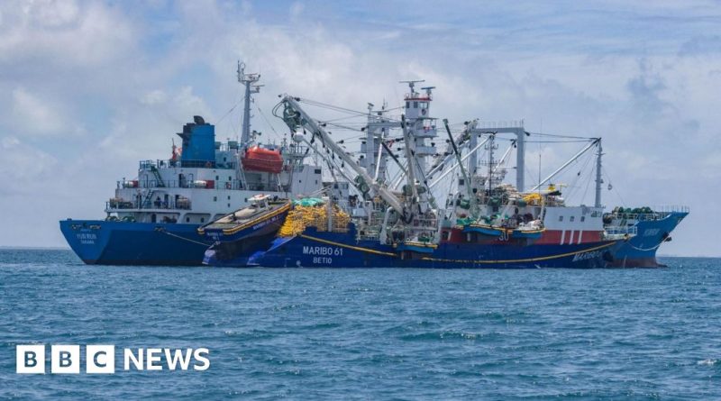 Fishermen on a boat representing tuna populations affected by climate change