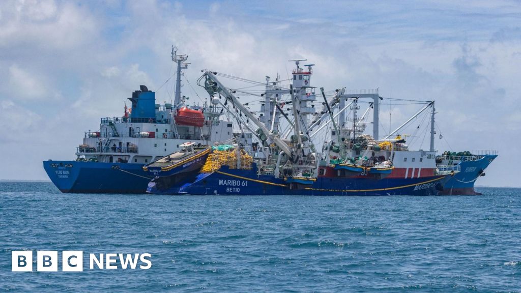 Fishermen on a boat representing tuna populations affected by climate change
