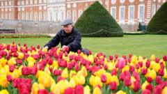 People admire the early spring flowers in a beautiful UK garden.