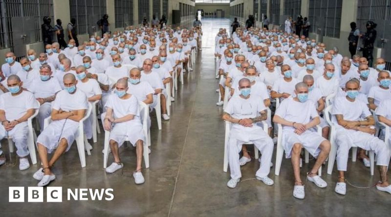 Courtroom scene showing MS-13 gang leaders trial with diverse professionals.