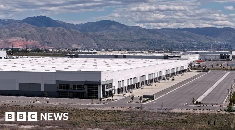 Elderly French woman detained by ICE seeks reunion with family.