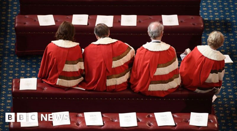 Professionals discuss House of Lords changes in a parliamentary setting.