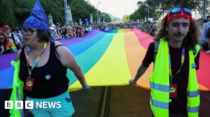 Professionals discussing Hungary anti-LGBTQ laws in a modern office.
