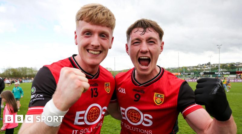 Exciting scene of fans at a Gaelic football match, showcasing enthusiasm and team spirit.