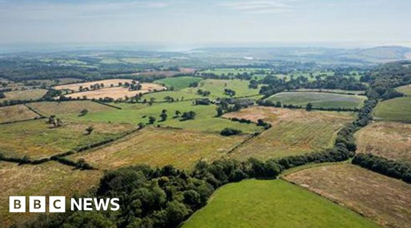 People enjoying outdoor activities on the Isle of Wight promoting health benefits.
