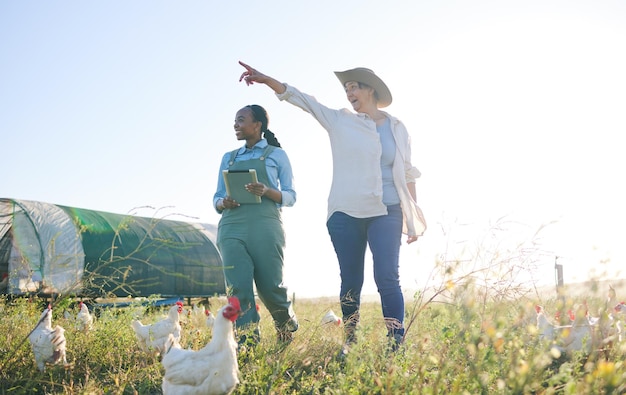Two women farmers from different continents discussing farmers challenges.