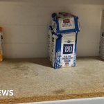 People organizing food supplies at a food bank, highlighting increased food bank demand.