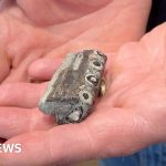 Tourists on a guided fossil walk find an ancient sea crocodile jawbone.