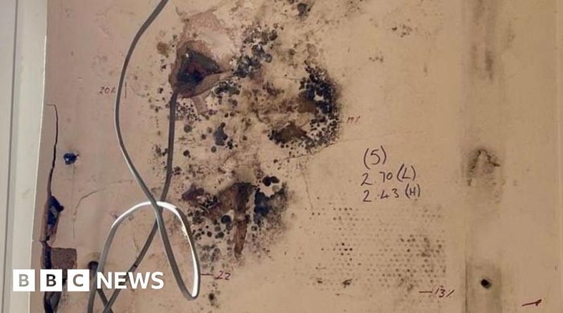 Group of professionals discussing home insulation fraud investigation details.