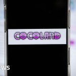 Professionals engaged in serious discussion about the Coco website investigation.