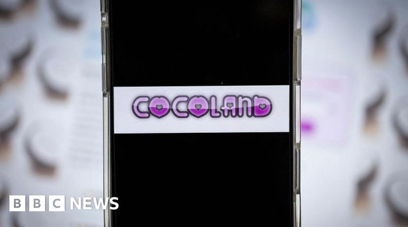 Professionals engaged in serious discussion about the Coco website investigation.