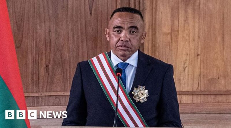 Professionals in a serious discussion about the Madagascar unrest plot.