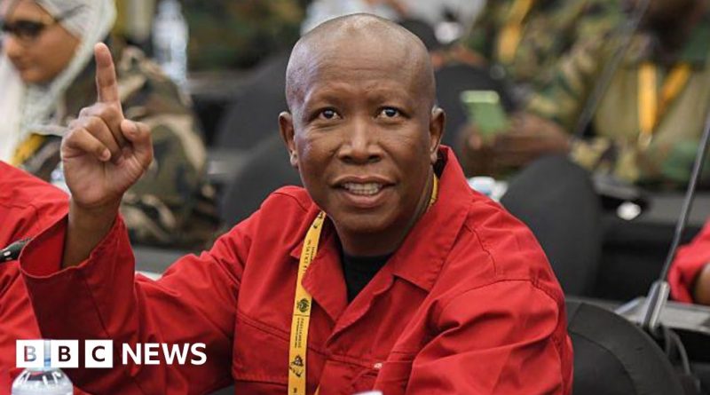 A serious discussion among South African politicians about the Malema prison sentence.