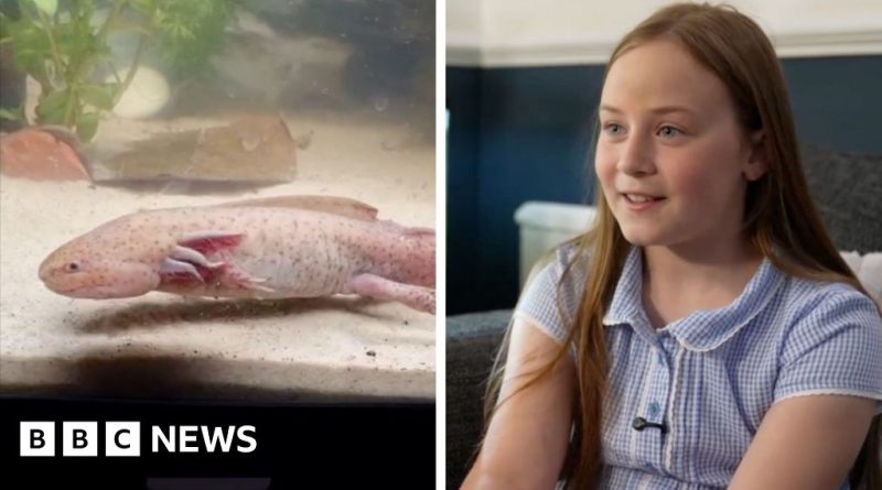 A young girl joyfully holds a rare axolotl during her discovery outing.