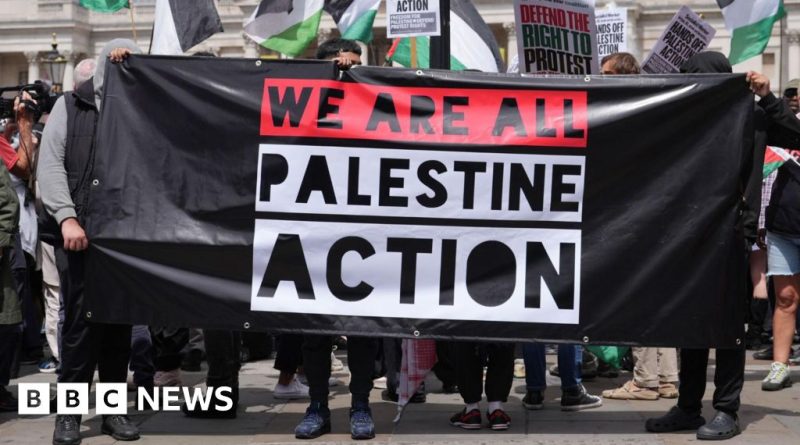 A serious discussion about the Palestine Action ban among diverse professionals in an office.