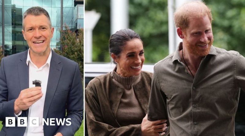 Harry and Meghan Australia visit, individuals engaging in meaningful community conversations.