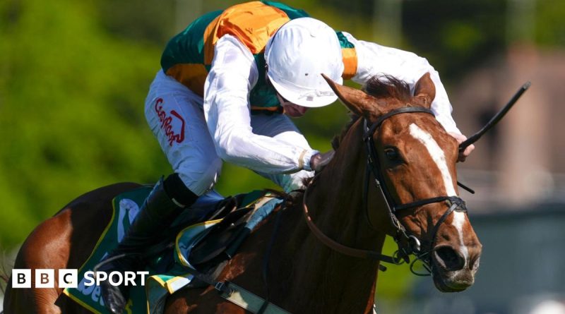Exciting Gold Cup race at Sandown showcasing jockeys and horses.