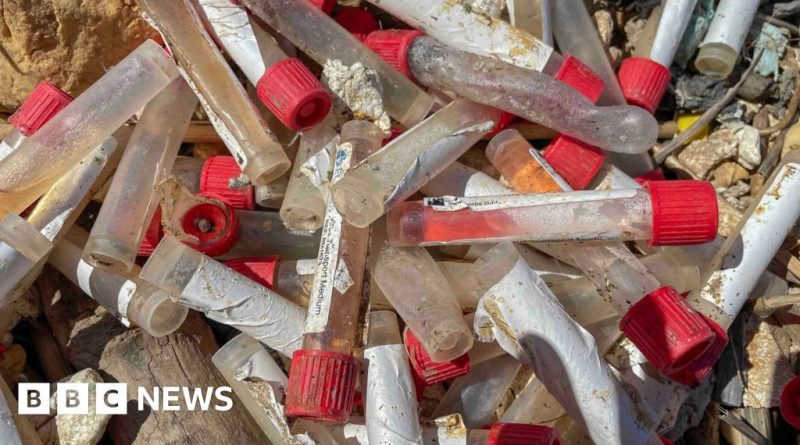 People discussing medical waste on Sheppey beach in professional attire.