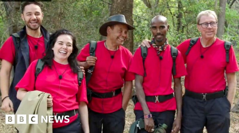 A scene from I'm A Celebrity with contestants celebrating their journey.