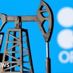 Professionals discussing UAE departure from OPEC and oil price impact