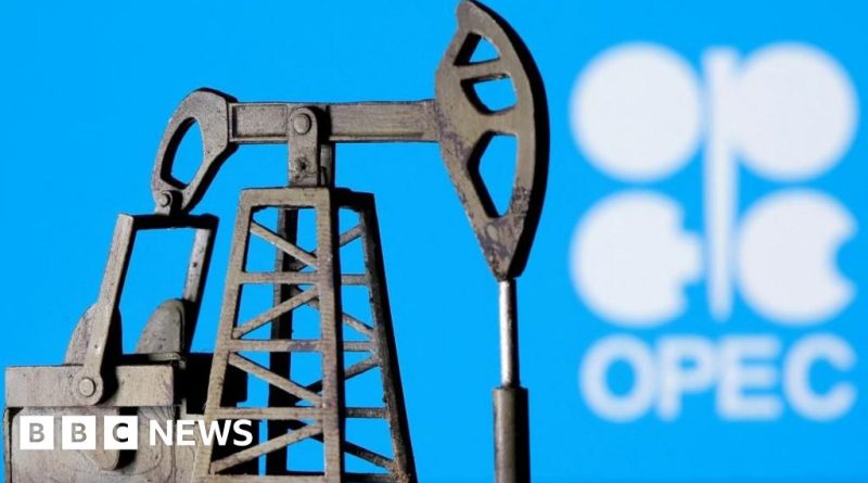 Professionals discussing UAE departure from OPEC and oil price impact