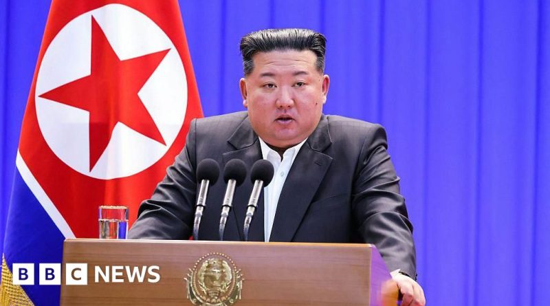 Professionals discussing North Korea executions in a serious meeting.