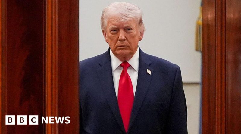 Business professionals discussing insider trading concerns during Trump's presidency.