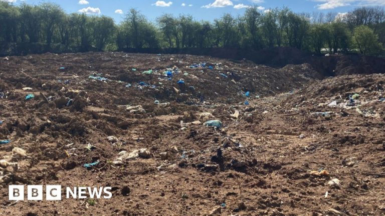 Professionals investigate a waste dump at a protected area, focusing on environmental safety.