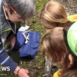 Participants engage in Isle of Man Wildlife Week activities surrounded by nature.