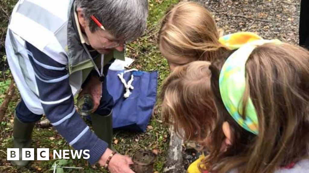 Participants engage in Isle of Man Wildlife Week activities surrounded by nature.