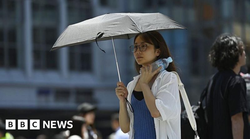 Professionals discussing climate change during kokushobi in an office.