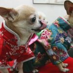 Diverse professionals showcasing innovative wearable technology in a modern office.