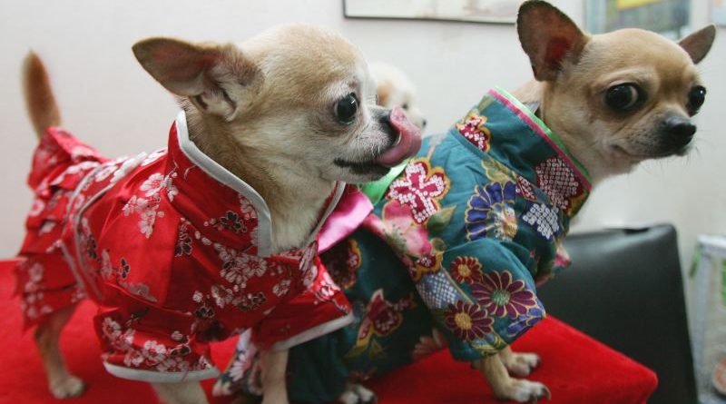 Diverse professionals showcasing innovative wearable technology in a modern office.