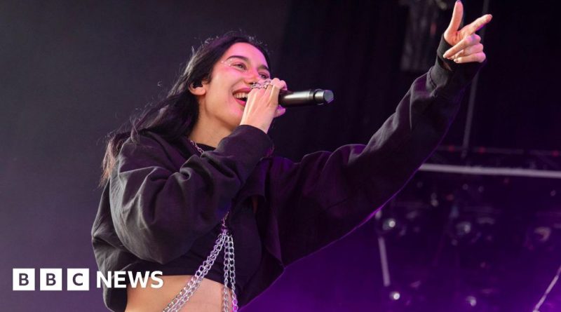 Julia Wolf reflecting on her viral success in a cozy workspace.