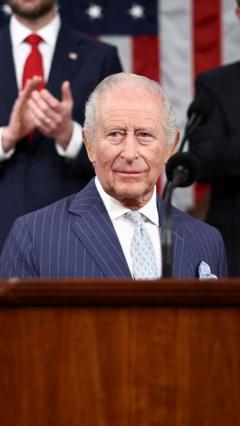 Professionals discussing global challenges during a meeting with King Charles.