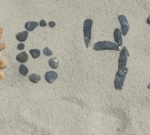 Legal professionals discussing the government case against Comey in a modern office.