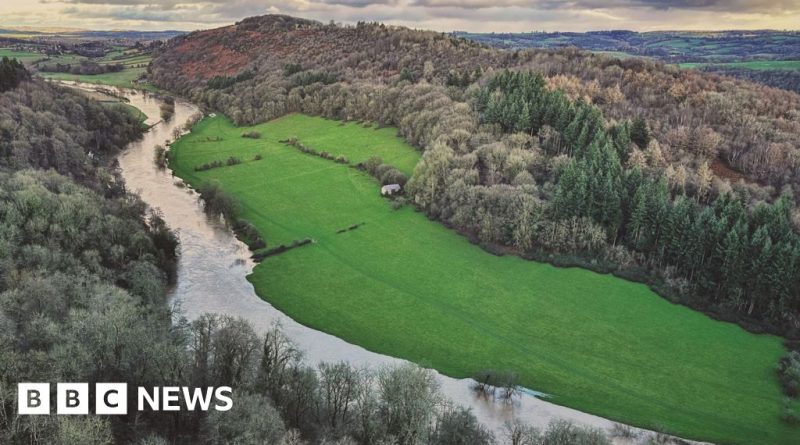 Lawyers presenting a pollution lawsuit in court, highlighting the pollution lawsuit UK.