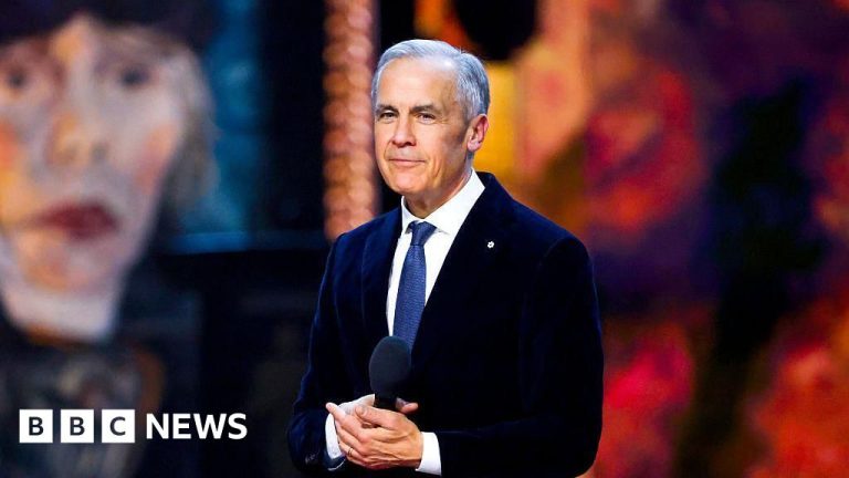 Mark Carney Prime Minister discussing policies with diverse politicians.