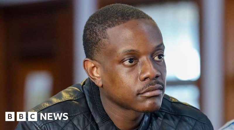 Courtroom scene focusing on Bellarmine Mugabe gun incident discussion.